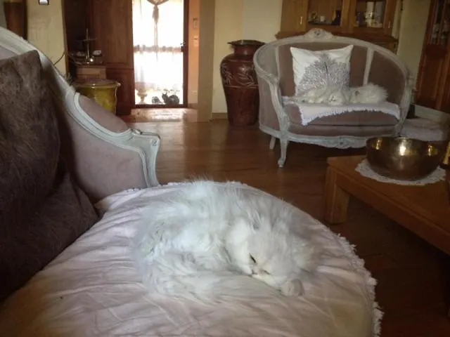 Holiday home Cote Luberon Villa Apt
